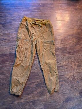 Patagonia Hiking Pants